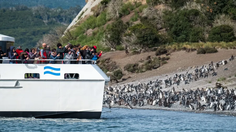 USHUAIA, ARGENTINA - FEBRUARY 23, 2018: Group of tourists takes pictures of penguins from the ship situated very close to shore