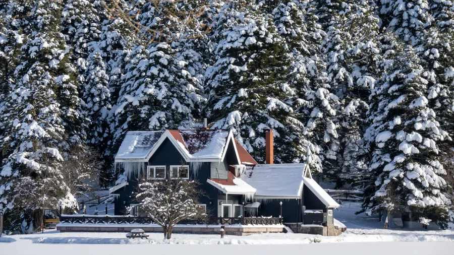guest house by the snow-covered forest and frozen lake