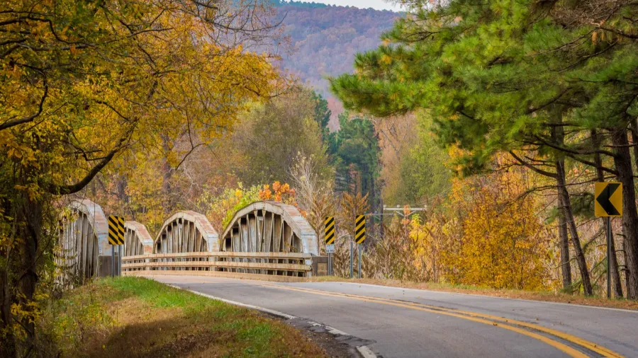 a rural bridge in the forest