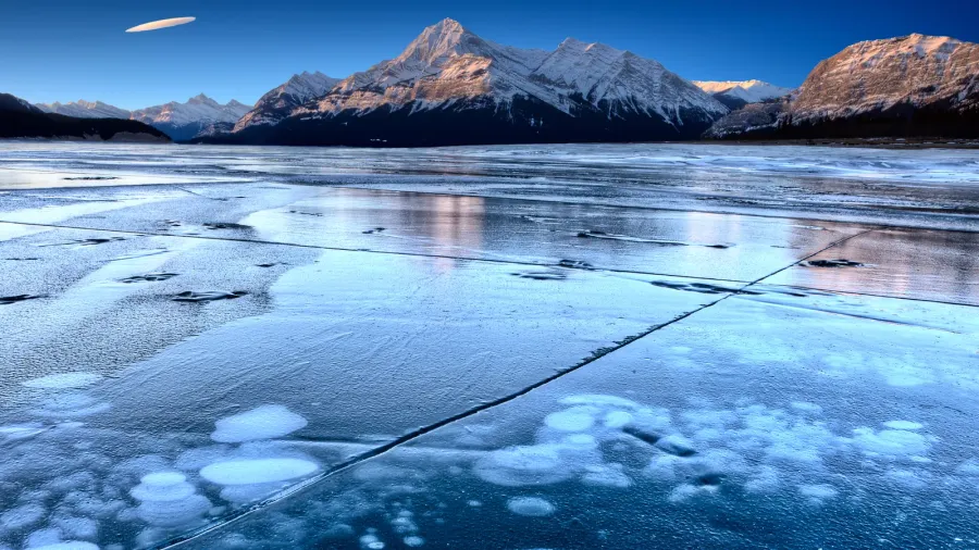 abraham lake winter