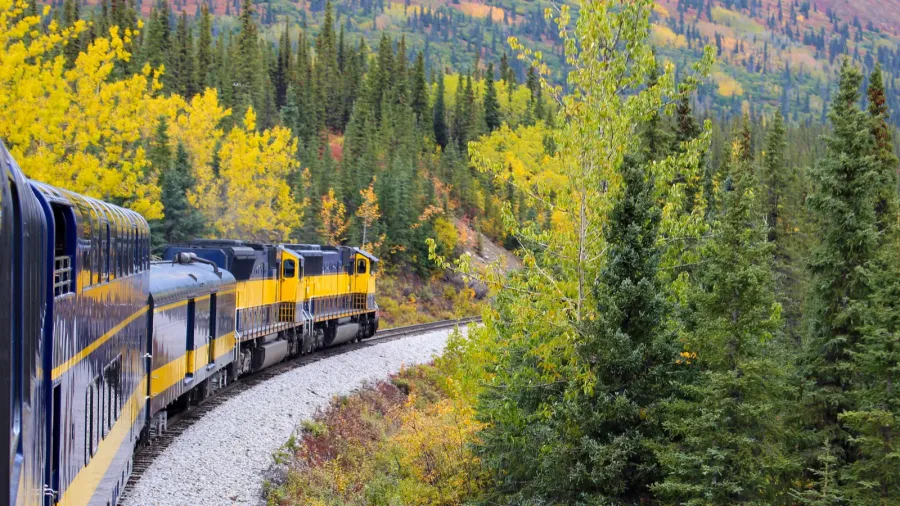 alaska railroad train from talkeetna to denali in an autumn