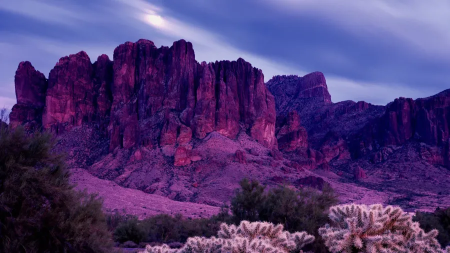 arizona desert