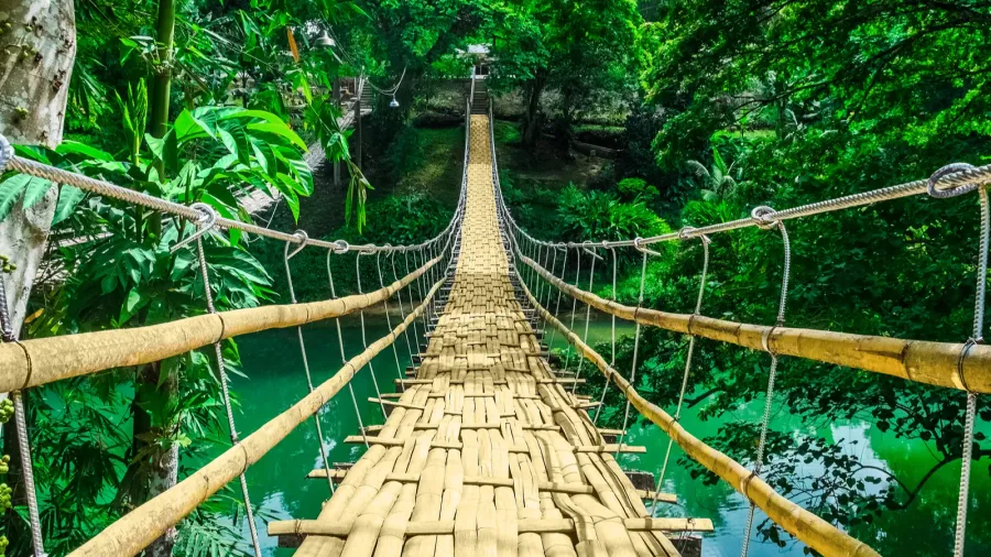 bamboo hanging bridge over river in tropical forest