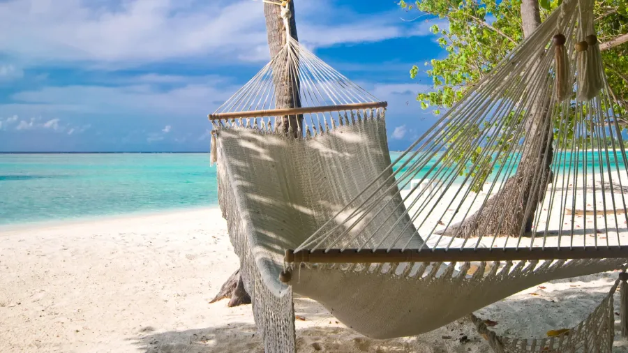 beach hammock