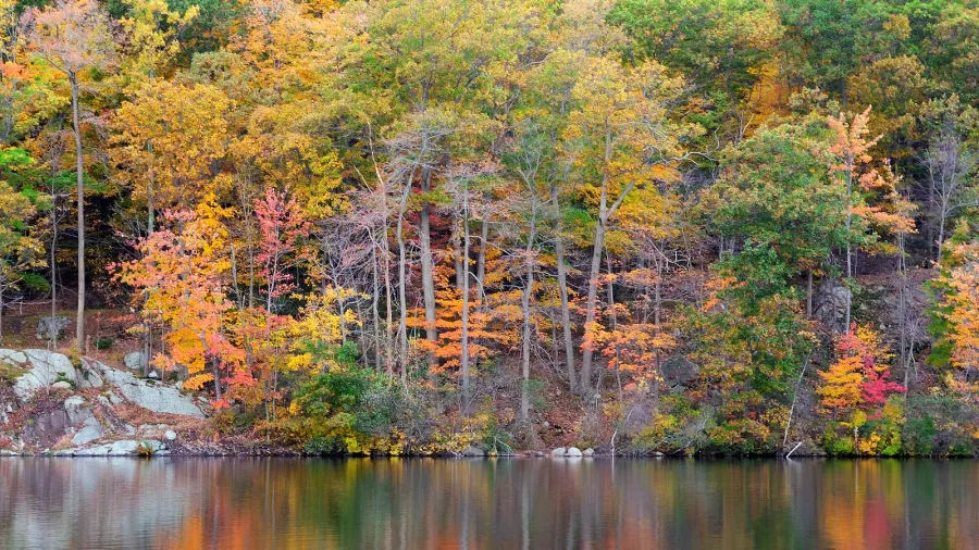 bear mountain lake