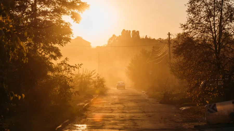 beautiful orange sunrise above trees and car on road