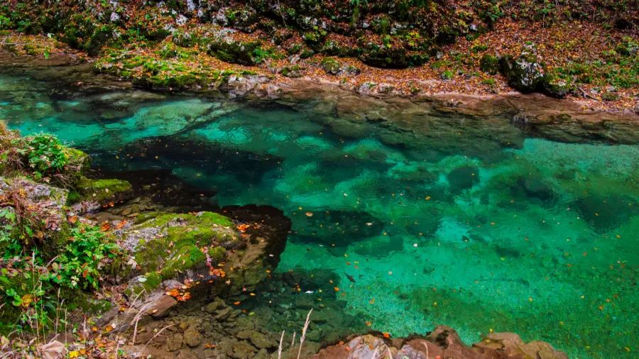 beautiful tropical landscape with rocks and water