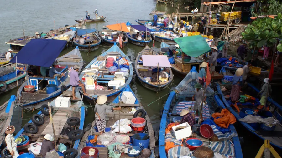 boats