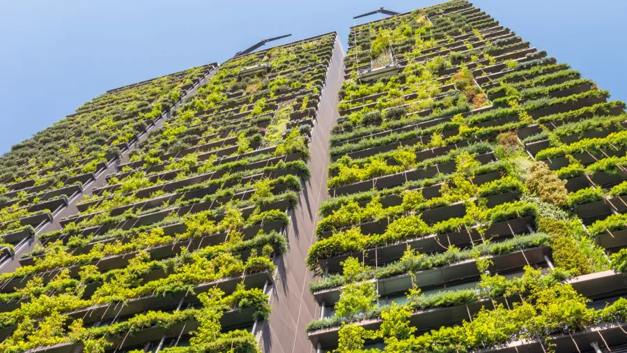building exterior covered by plants