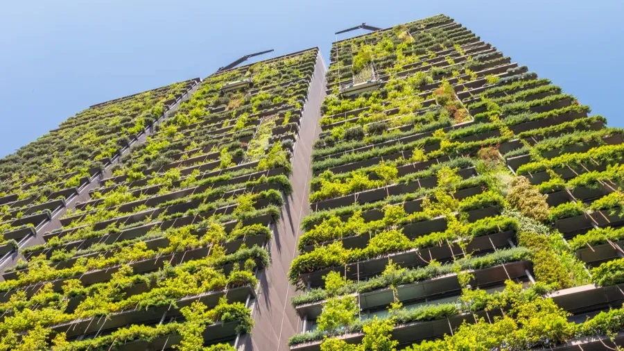 building exterior covered by plants