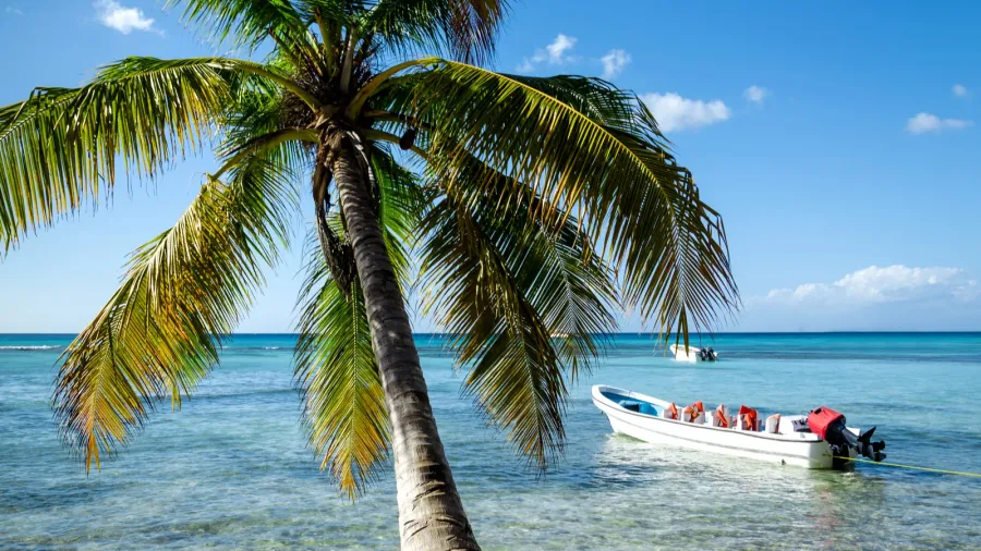 caribbean beach with boat