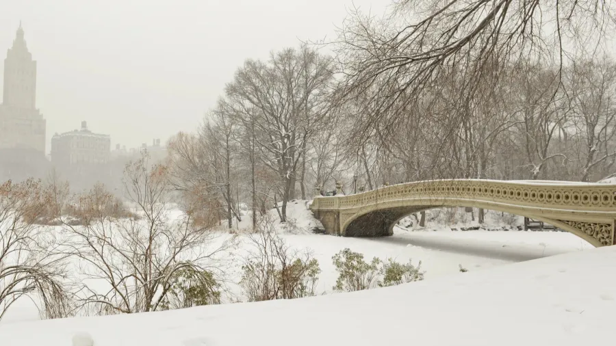 central park in the snow manhattan new york city
