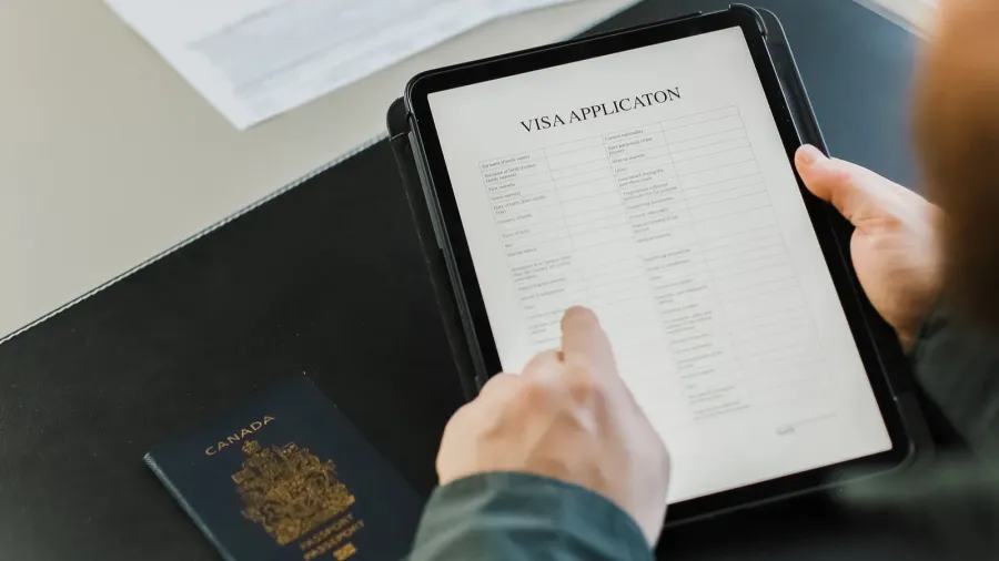 close up male person getting visa and reading application on