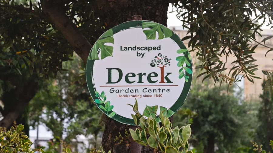 close view of name derek tag hanging on olive branch
