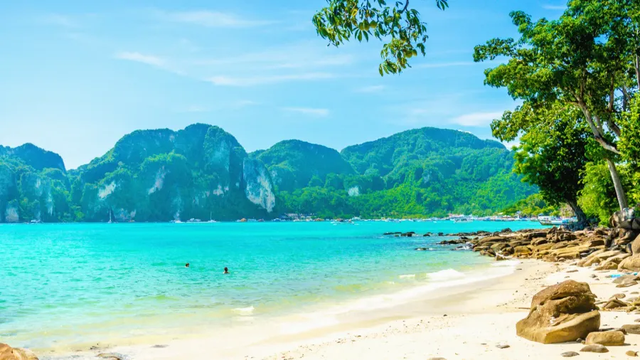 fabulous beach with exotic plants and white sand