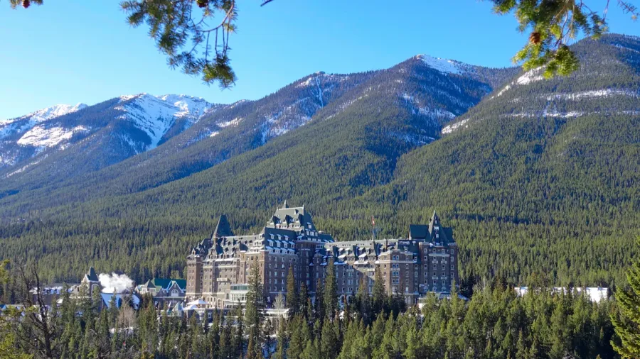 fairmont banff springs hotel is surrounded by pine woods covering