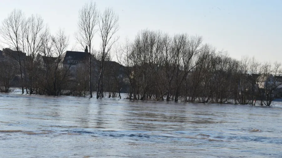 flooded flood in the countryside