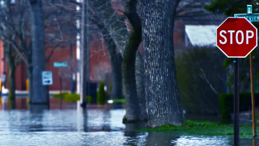 flooded street