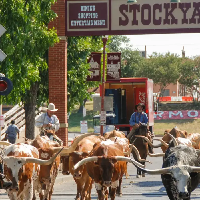16 Texas experiences that make you feel like a local