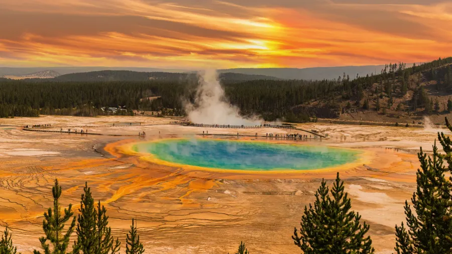 grand prismatic spring at yellowstone np