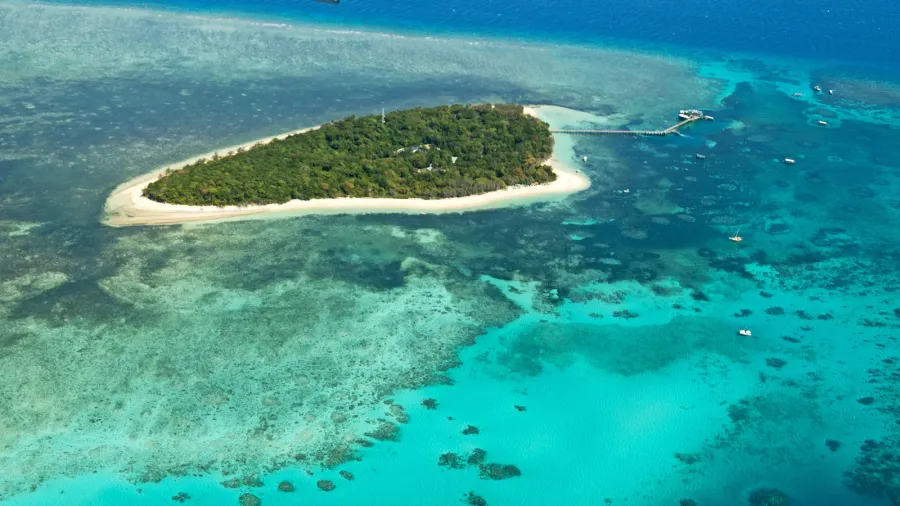 in australia natuarl park the great reef from the