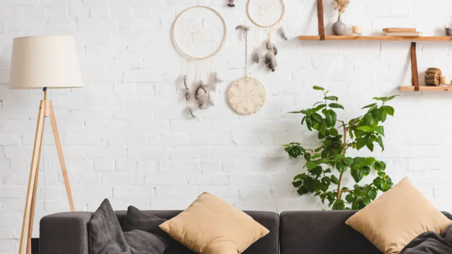 interior of cozy living room with sofa plant and dream