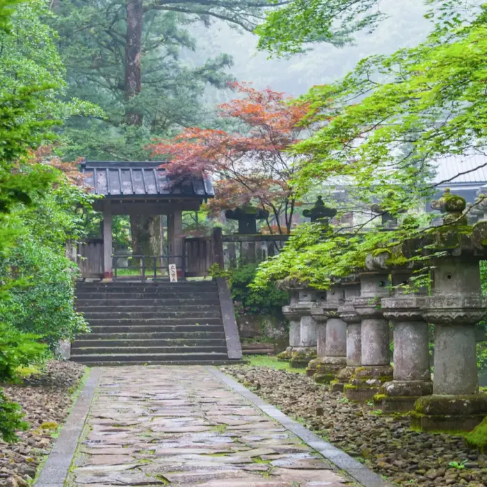 Ancient routes you can still walk today from Camino de Santiago to Japan’s Kumano Kodo