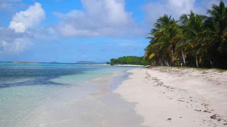 just paradise