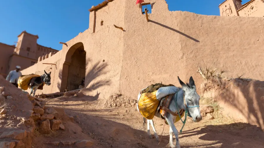 ksar of ait ben hadu morocco
