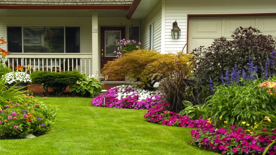 manicured green yard