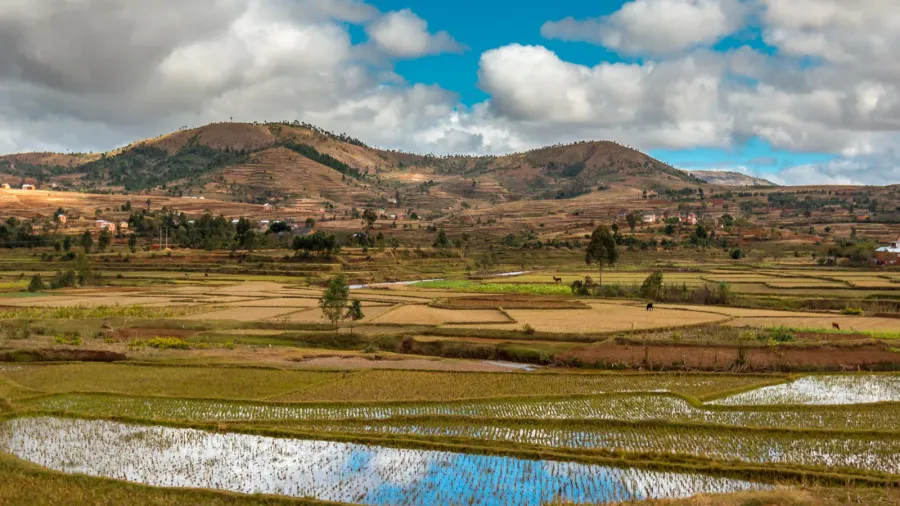 naturally beautiful madagascar