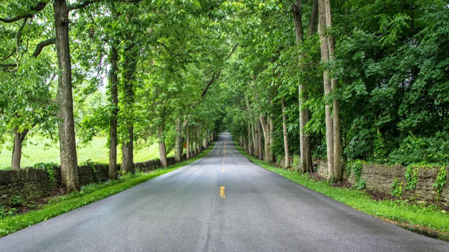 old frankfort pike