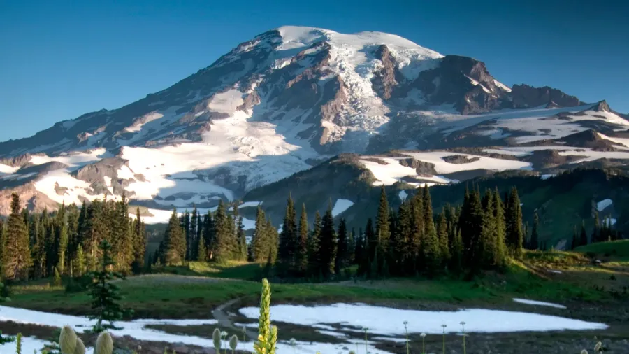 paradise ridge