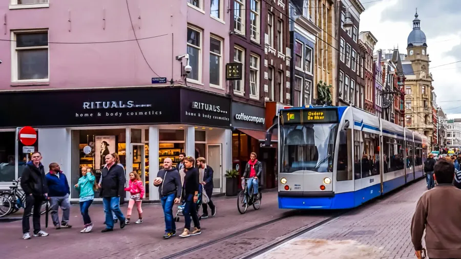pedestrians and trams on the busy leidsestraat in the center