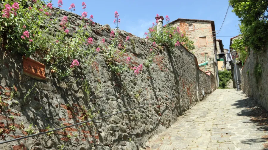 picturesque rural paved street and stonewall