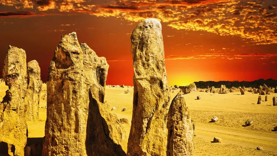 pinnacles a natural attraction of nambung national park