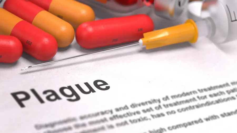 plague diagnosis medical concept