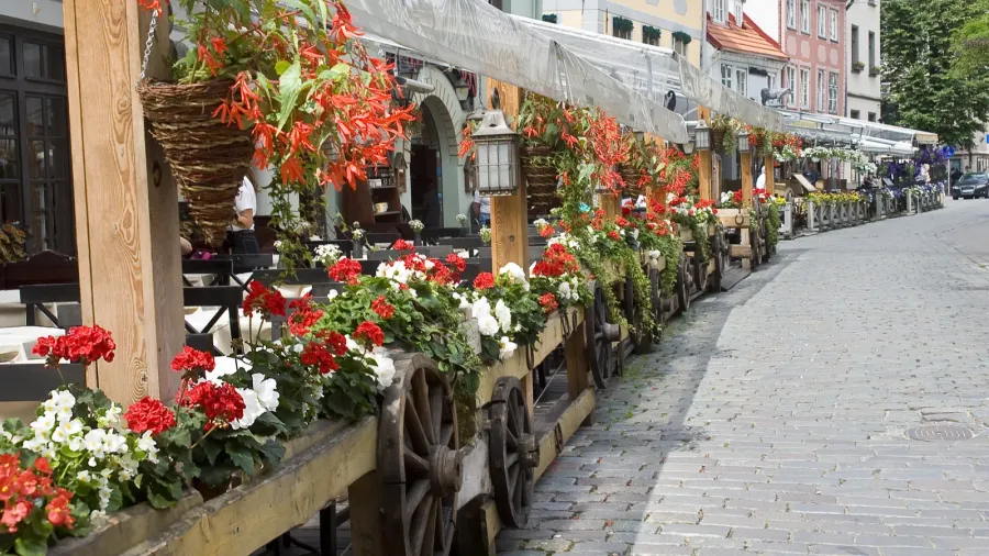 riga summer cafes at livov square