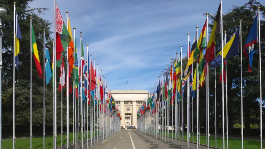 rows of flags at un entry in geneva
