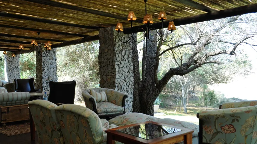 safari in south africa sofas and chairs for relaxation at