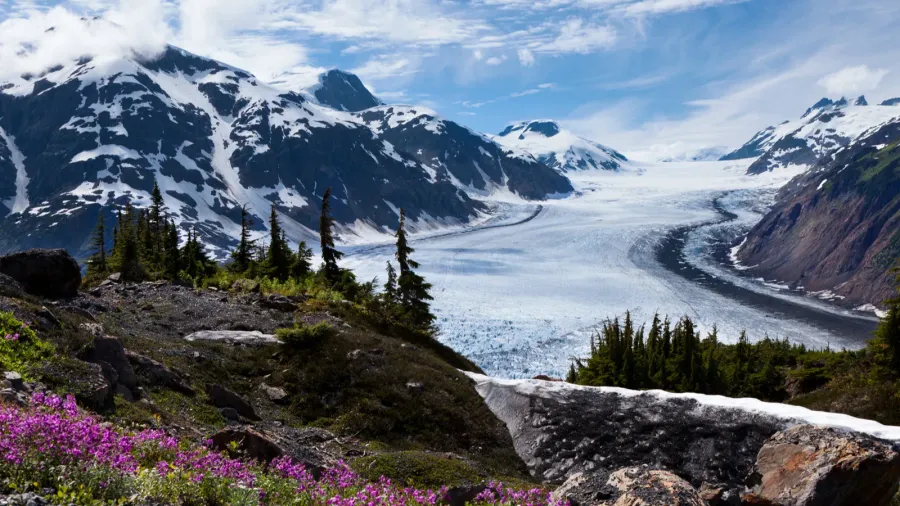 salmon glacier