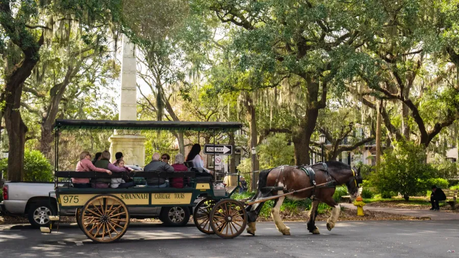 A horse-drawn carriage in Savannah.