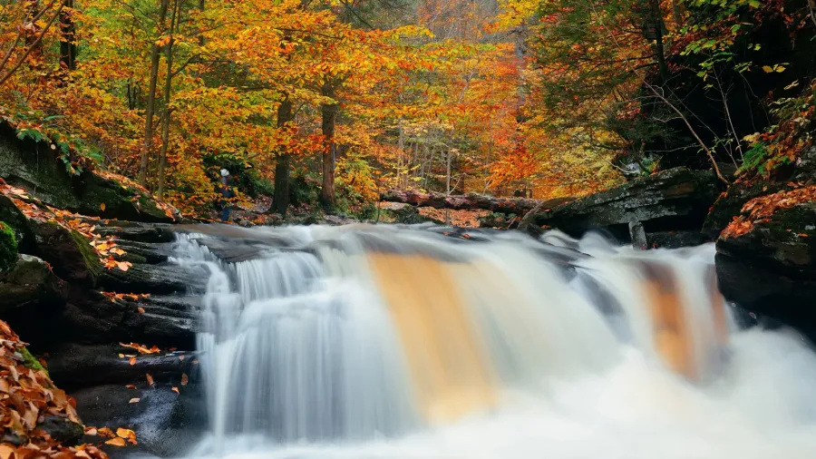 scenic sutumn waterfalls