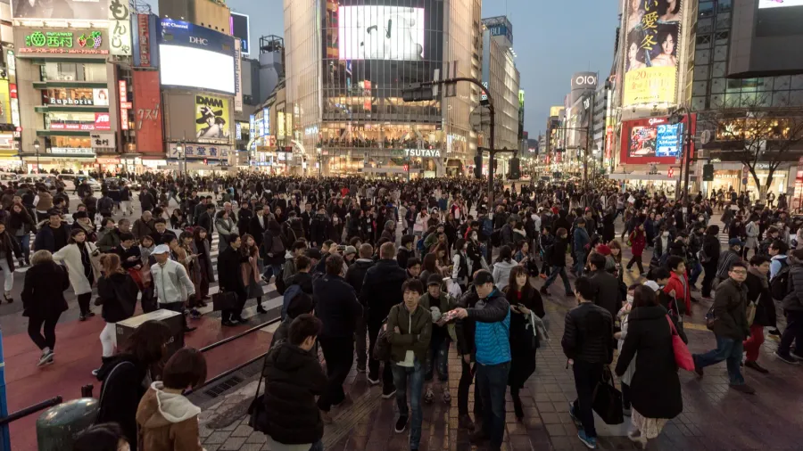 shibuya district in tokyo famous and busiest intersection in the