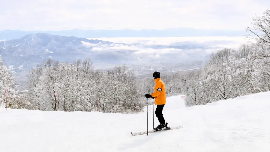 skier taking in the beautiful myoko scenery before continuing down