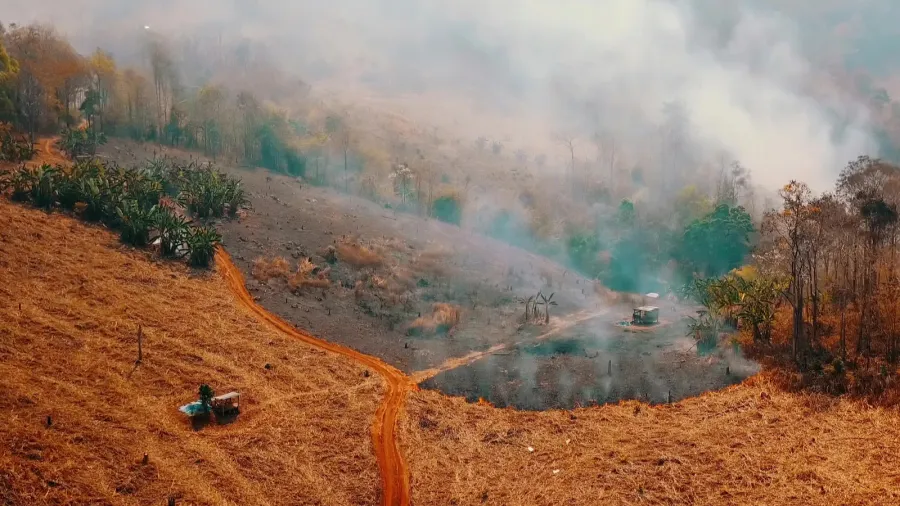 smog of forest fires deforestation and climate crisis in asia