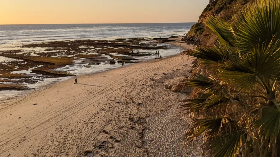 southern california beach scenes with silhouettes surfers tide pools and