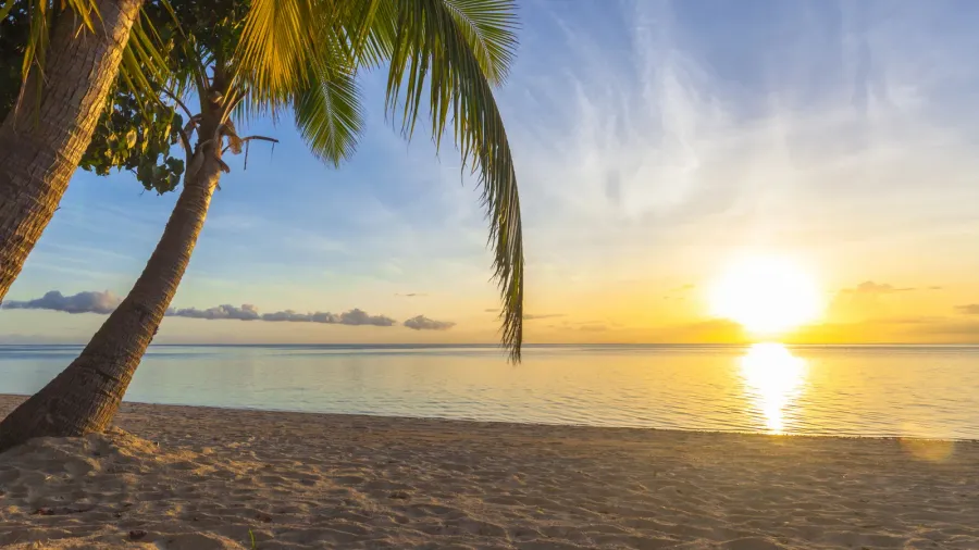 sunset on beach