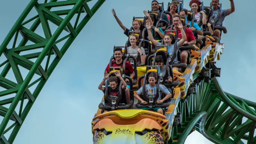 tampa bay florida august 08 2019 people having fun terrific