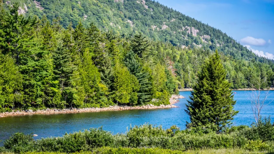 the jordan pond path trail in acadia national park maine